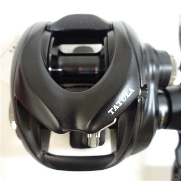 ２４タトゥーラＴＷ１００ＸＨＬ